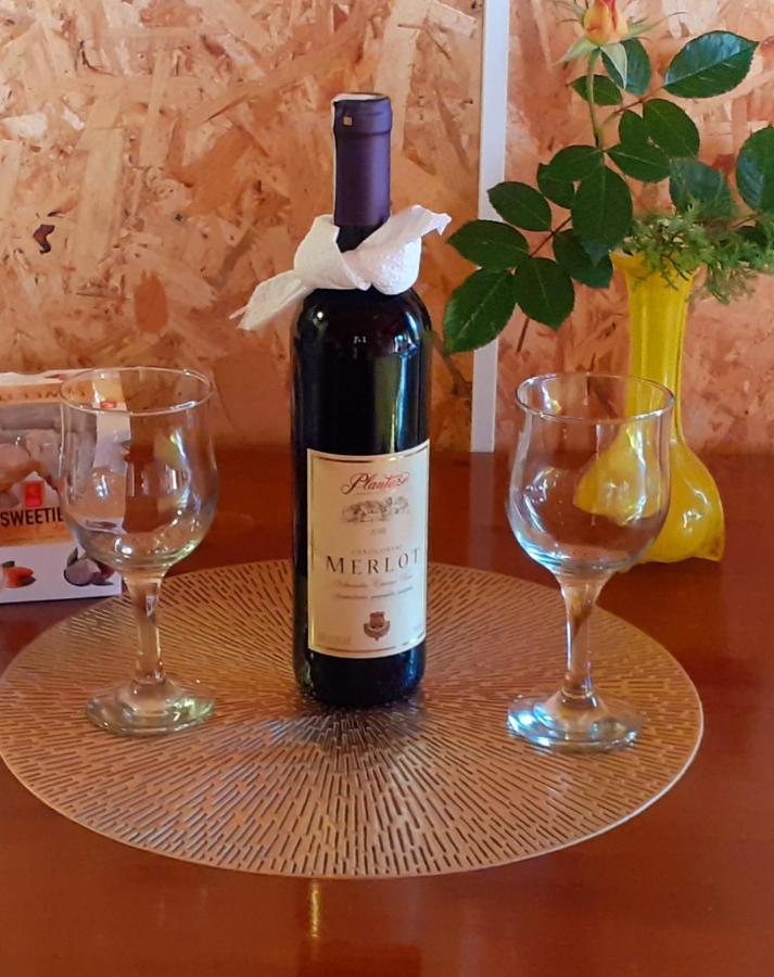 Obiteljski Apartman Borovi Visoko Buitenkant foto
