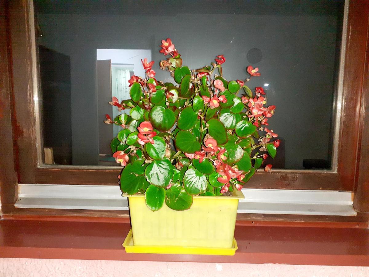 Obiteljski Apartman Borovi Visoko Buitenkant foto